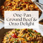 Ground Beef Orzo Recipe