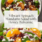 Spinach Mandarin Salad with Honey Balsamic Dressing Recipe