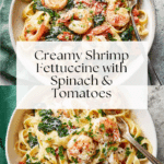 Shrimp Fettuccine Recipe