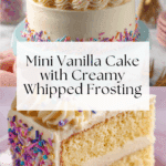 Mini Vanilla Cake Recipe