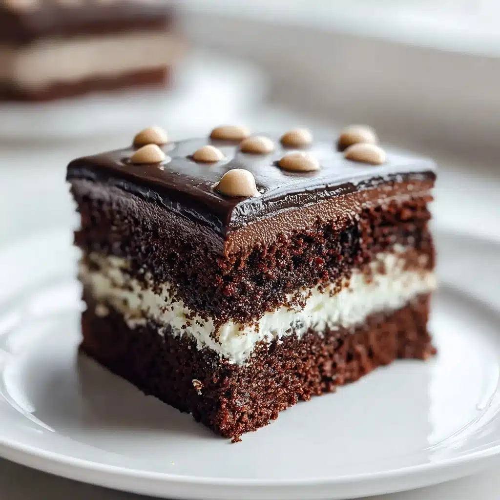Mississippi Mud Cake Recipe - Recipe Image