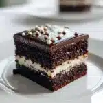 Mississippi Mud Cake Recipe