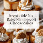 No Bake Mini Biscoff Cheesecakes Recipe