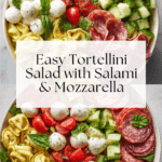 Salami-Mozzarella Tortellini Pasta Salad Recipe
