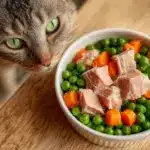 ltimate Hypoallergenic Homemade Cat Food Recipe