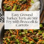 Ground Turkey Teriyaki Stir FryIngredients Recipe