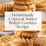 Homemade Copycat Nutter Butters Recipe