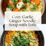 Garlic Ginger Soup With Noodles Recipe