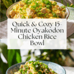 15-Minute Oyakodon (Japanese Chicken & Egg Rice Bowl) Recipe