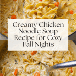 Creamy Chicken Noodle Soup Recipe