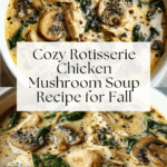 Rotisserie Chicken Mushroom Soup Recipe