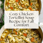Chicken Tortellini Soup Recipe