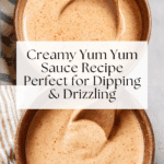 The Ultimate Yum Yum Sauce Recipe