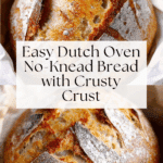 Dutch Oven No Knead Crusty Bread Recipe