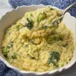 Broccoli Cheddar Orzo Recipe