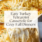 Easy Turkey Tetrazzini Recipe