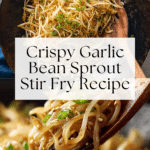 Bean Sprout Stir Fry Recipe