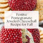 Pomegranate Jeweled Cheeseball Recipe