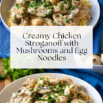 Creamy Chicken Stroganoff Recipe
