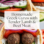 Greek Gyro with Homemade Gyro Meat Recipe
