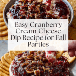 Easy Cranberry Cream Cheese Dip Recipe