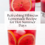 Hibiscus Lemonade Recipe