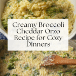 Broccoli Cheddar Orzo Recipe