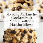 No Bake Avalanche Cookies Recipe