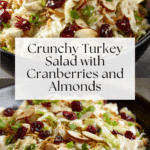 Turkey Salad Recipe
