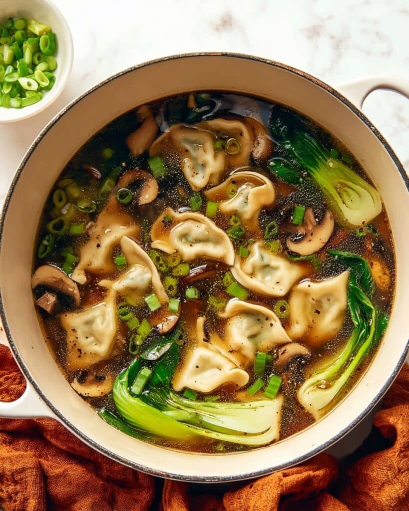 Potsticker Soup Recipe