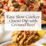 The Best Slow Cooker Queso Dip Recipe