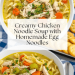 Creamy Chicken Noodle Soup Recipe