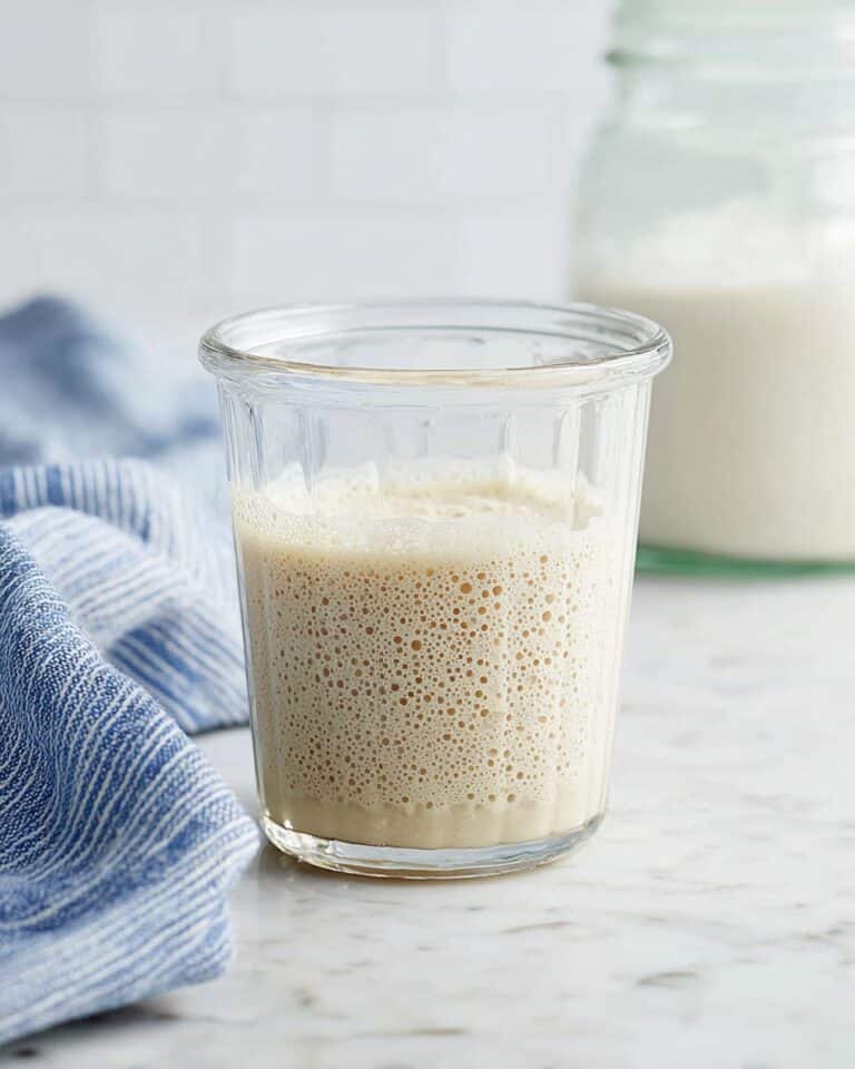 How to Make a Sourdough Starter Recipe